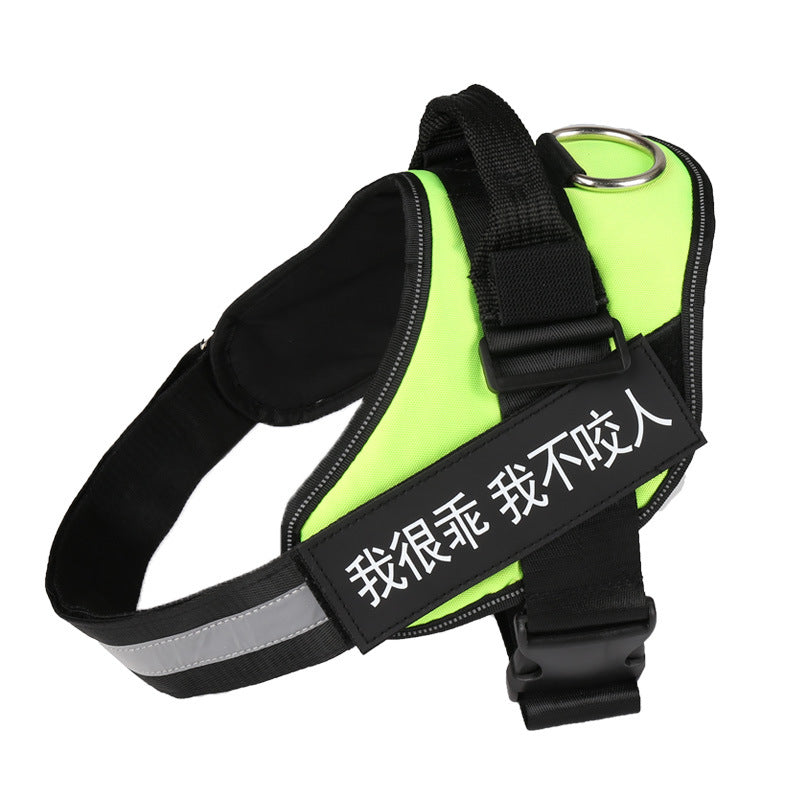 K9 Pet Harness & Leash - Customized Pet Supplies