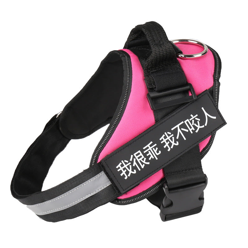 K9 Pet Harness & Leash - Customized Pet Supplies