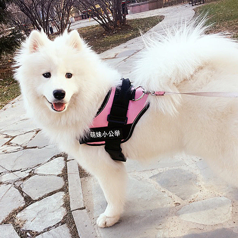 K9 Pet Harness & Leash - Customized Pet Supplies