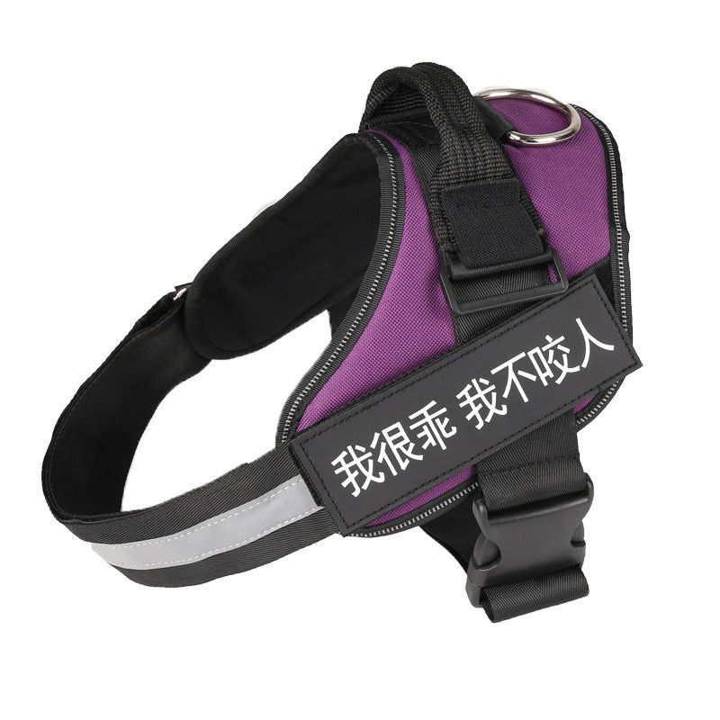 K9 Pet Harness & Leash - Customized Pet Supplies
