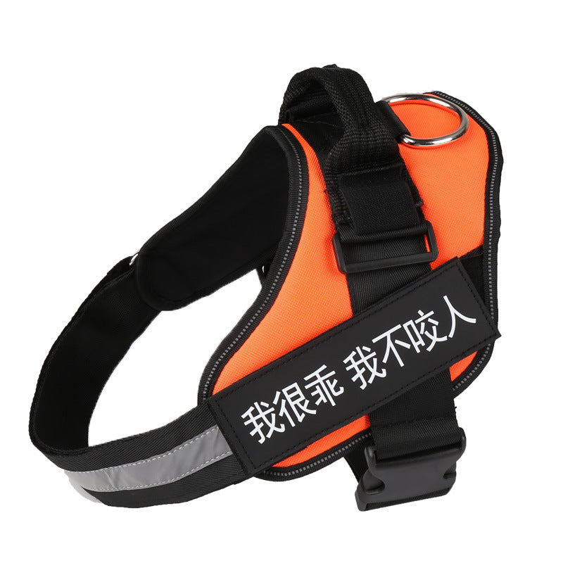 K9 Pet Harness & Leash - Customized Pet Supplies
