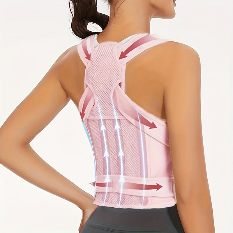 Adult Back Support Belt