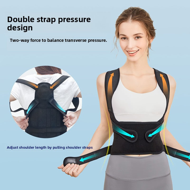 Adult Back Support Belt