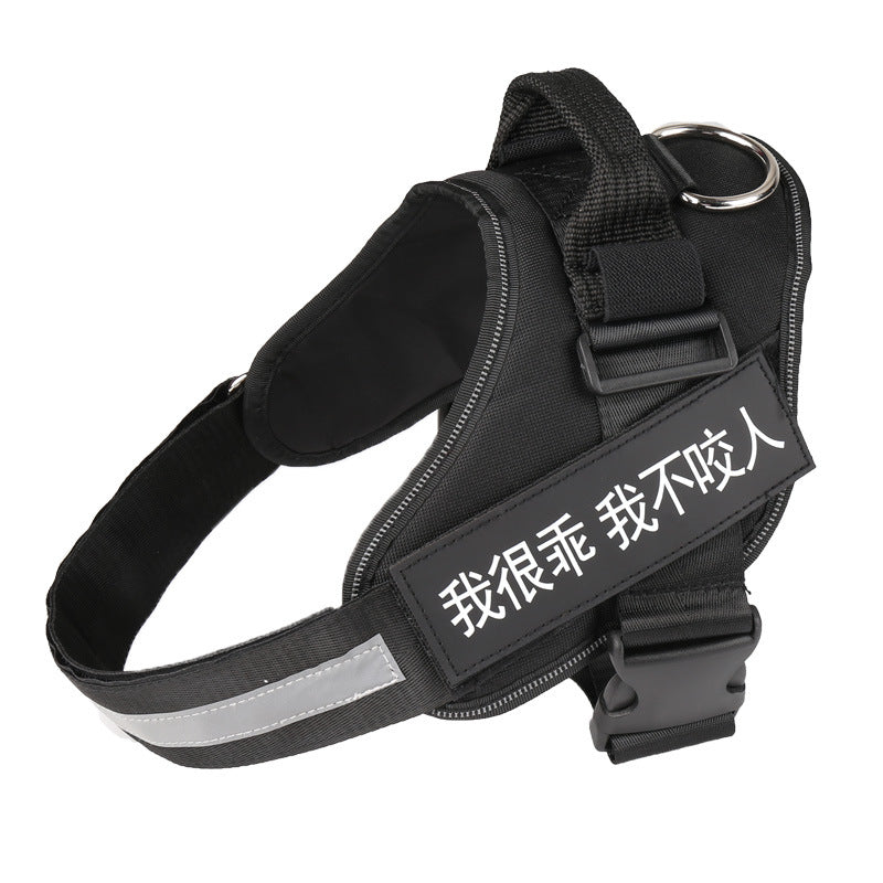 K9 Pet Harness & Leash - Customized Pet Supplies