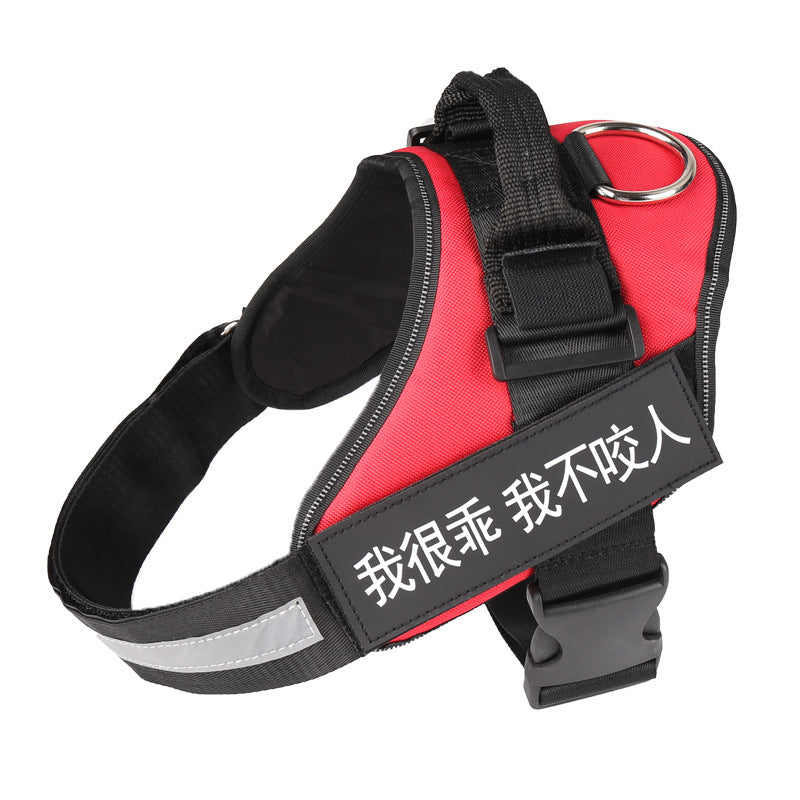 K9 Pet Harness & Leash - Customized Pet Supplies